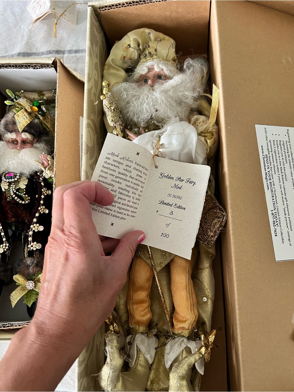 Mark Robert’s fairies! - Picture 11 of 16